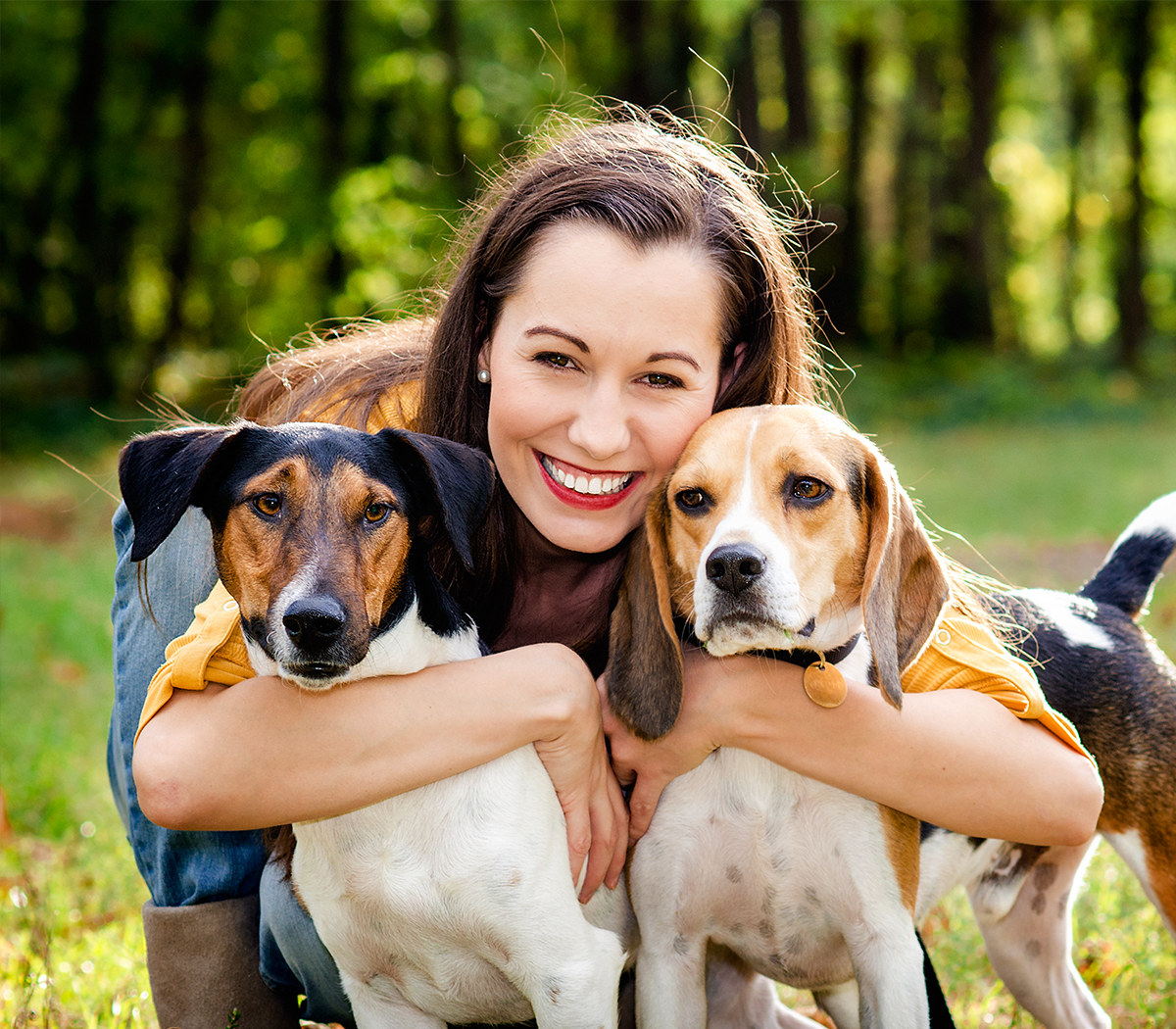 how to book dog training