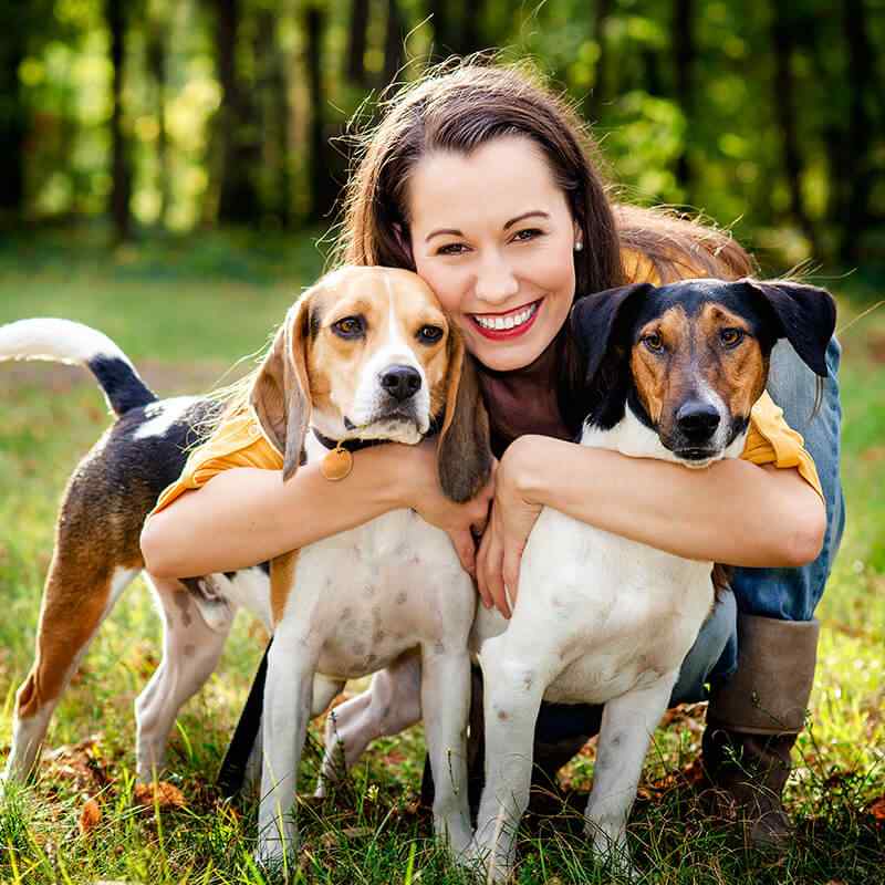 Happy dog after grooming services